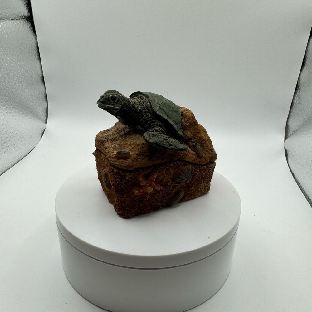 Turtle Box - Picture 1 of 6